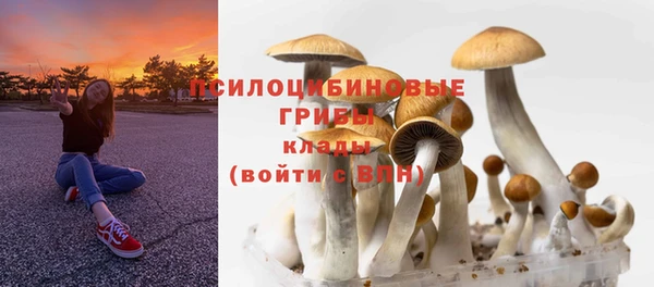 бошки Абинск