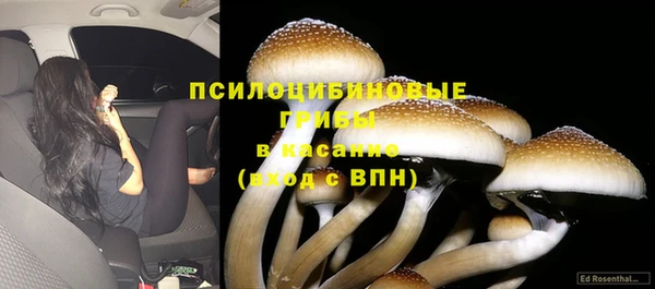 ПСИЛОЦИБИНОВЫЕ ГРИБЫ Абаза
