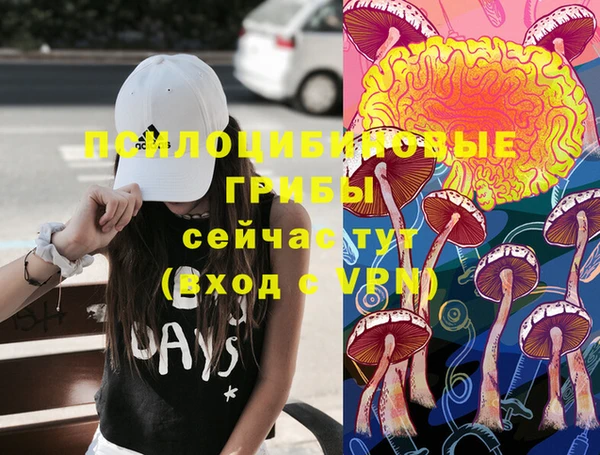 бошки Абинск
