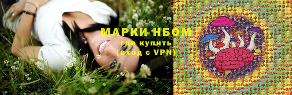 ПСИЛОЦИБИНОВЫЕ ГРИБЫ Абаза