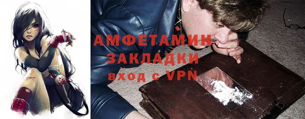 ПСИЛОЦИБИНОВЫЕ ГРИБЫ Абаза