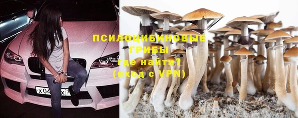 бошки Абинск