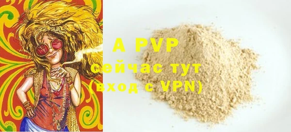 ПСИЛОЦИБИНОВЫЕ ГРИБЫ Абаза