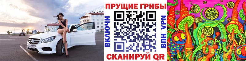 как найти закладки  Братск  hydra ссылка  Галлюциногенные грибы MAGIC MUSHROOMS 