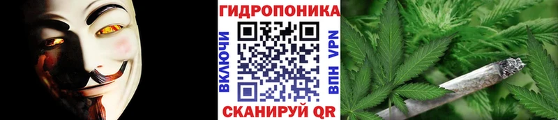 Каннабис VHQ  сколько стоит  Братск 